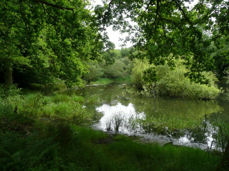 Fêtes des adhérents 2013 035